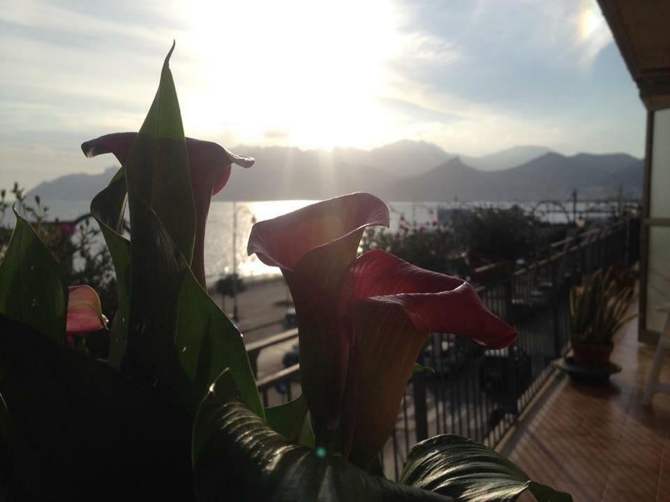 Leucosia Bed & Breakfast Salerno Exterior foto