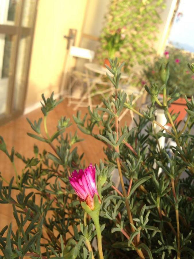 Leucosia Bed & Breakfast Salerno Exterior foto